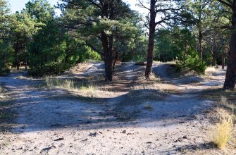 A Wyoming state park lake