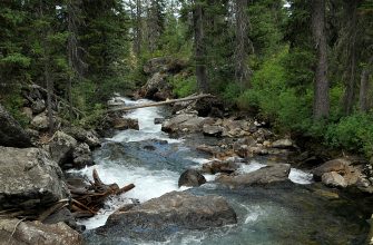A glacial lake stream in Grand Teton National Park, Wyoming