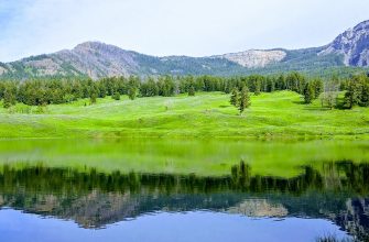 Trout Lake, Yellowstone, Wyoming